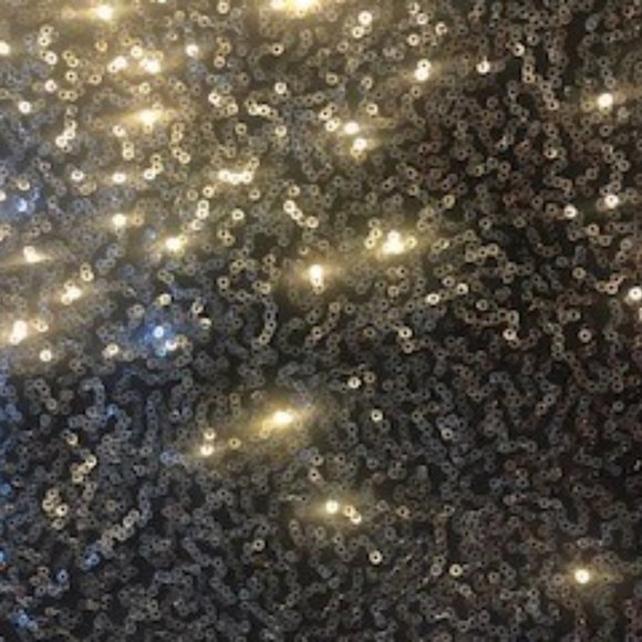 Express Sequin Skirt - Picture 4 of 4